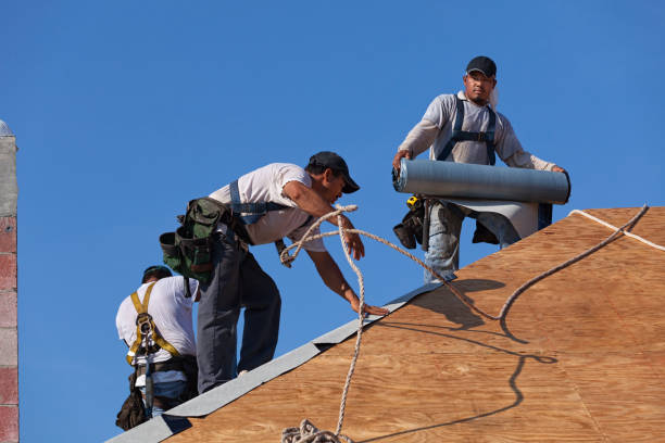 Best Best Roofing Contractors  in Decatur, IL